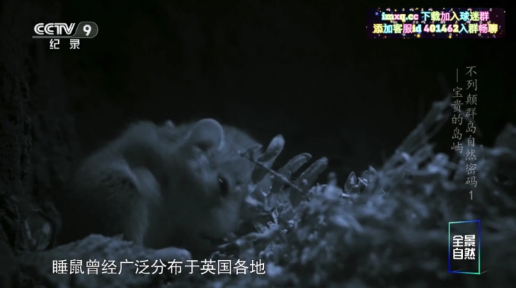 晶奥直播tv版(2)