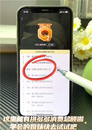 拼多多怎么看總共消費多少錢 拼多多怎么看一年的總消費 拼多多怎么看總共消費多少錢 拼多多怎么看一年的總消費
