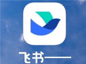 飛書怎么把視頻文件轉(zhuǎn)換文字 飛書怎么把錄音文件轉(zhuǎn)換文字