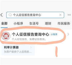 支付寶怎么查個人征信 支付寶怎么查個人征信有沒有問題