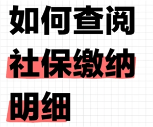 支付寶怎么查社保繳費記錄 支付寶怎么查社保交了多少年