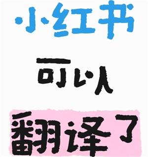 小紅書翻譯功能在哪里 小紅書翻譯功能怎么開啟