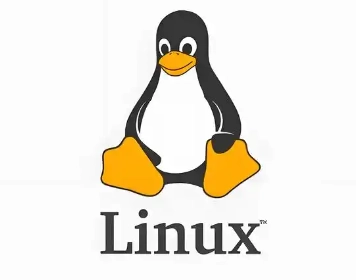 Linux系统怎么安装软件 Linux安装第三方软件教程图解