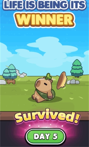 卡皮巴拉go国际服官方正版(capybara安装器)(1)