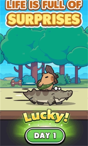 卡皮巴拉go国际服官方正版(capybara安装器)(2)