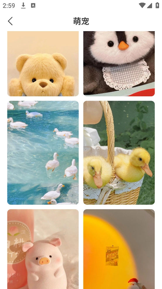 飞羽壁纸高清图1