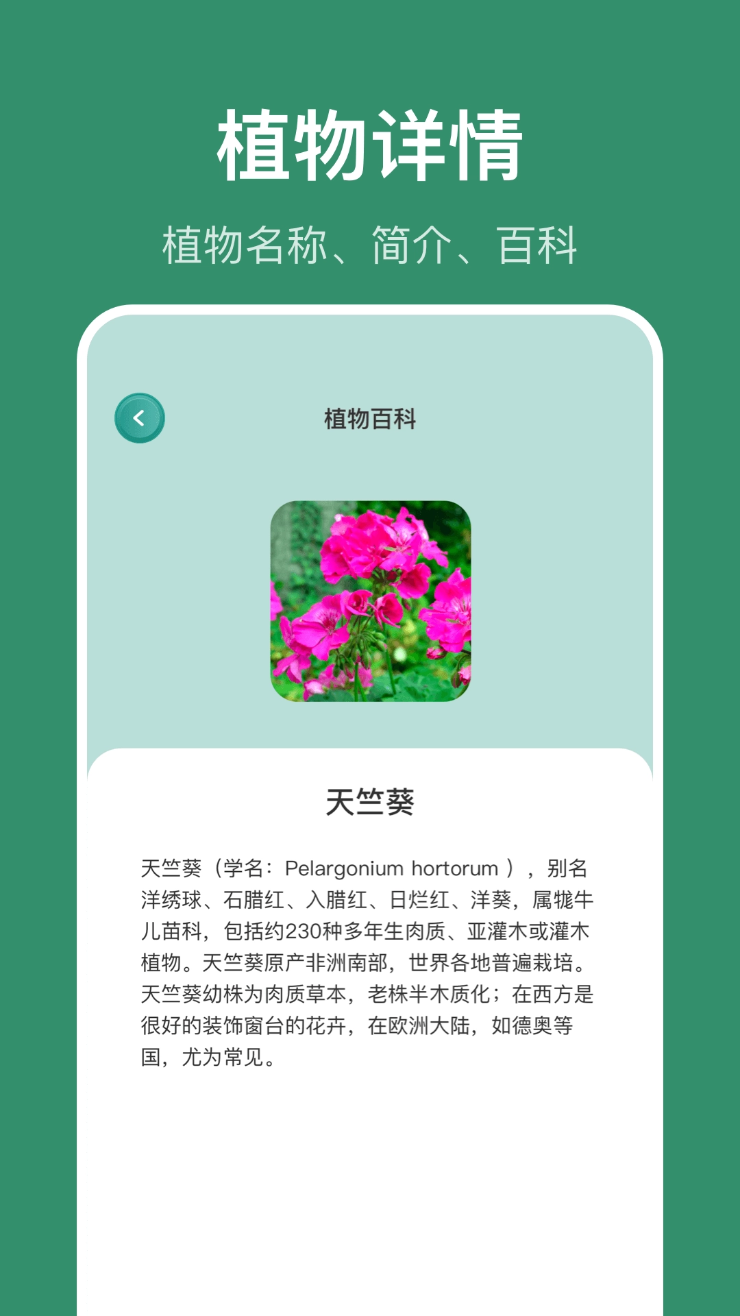 识花草软件图4