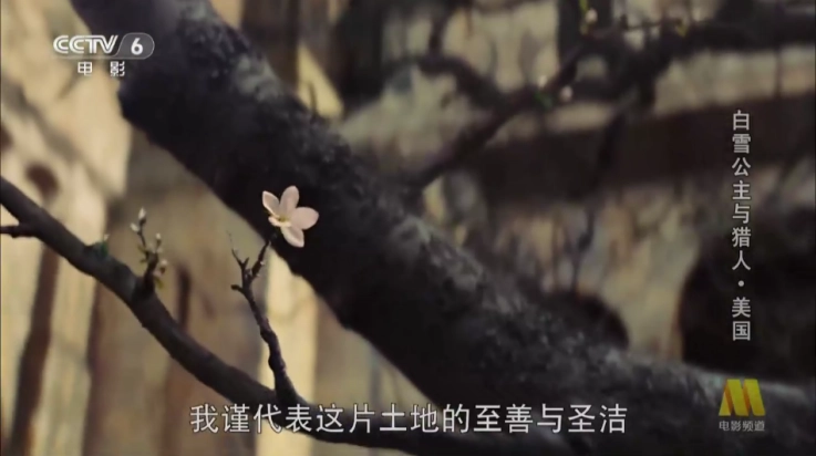 开心影视TV版图2