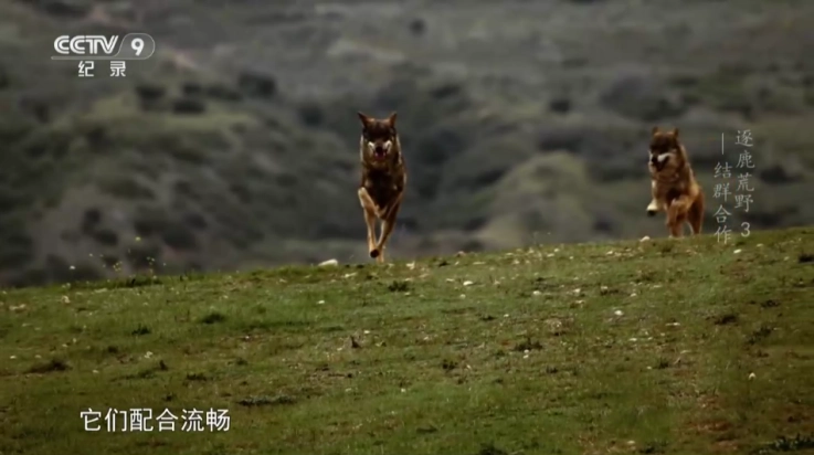 开心影视TV版图3