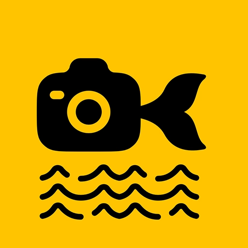 鱼丸水印相机最新版