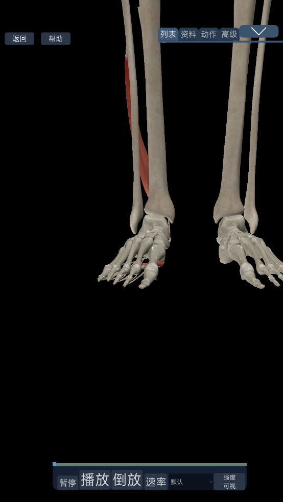 3d运动解剖手机版图3