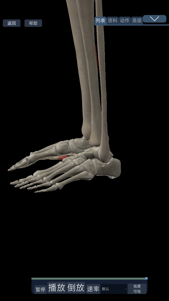 3d运动解剖手机版图4