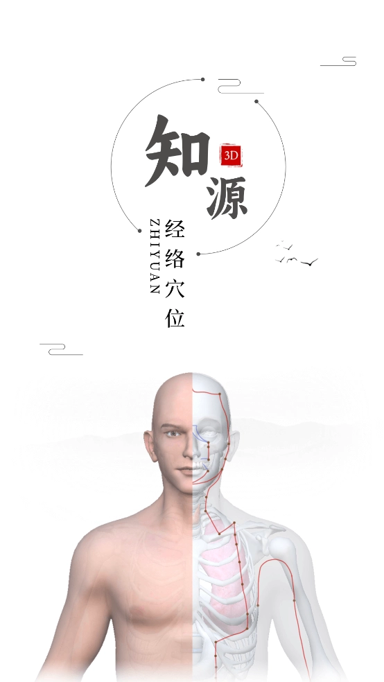 知源经络穴位app