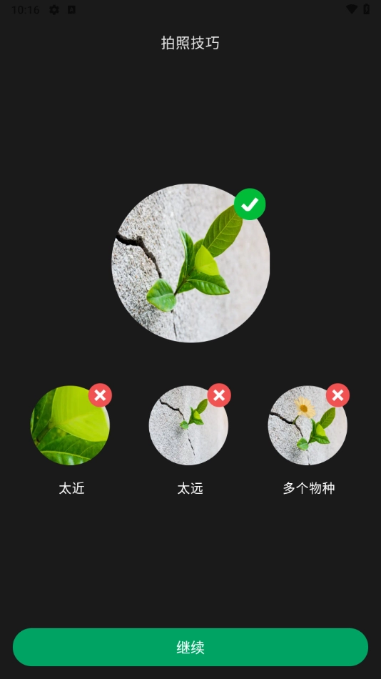 picturethis解锁高级版