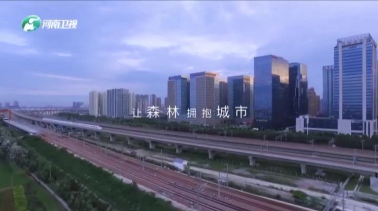 小羊直播tv盒子图4