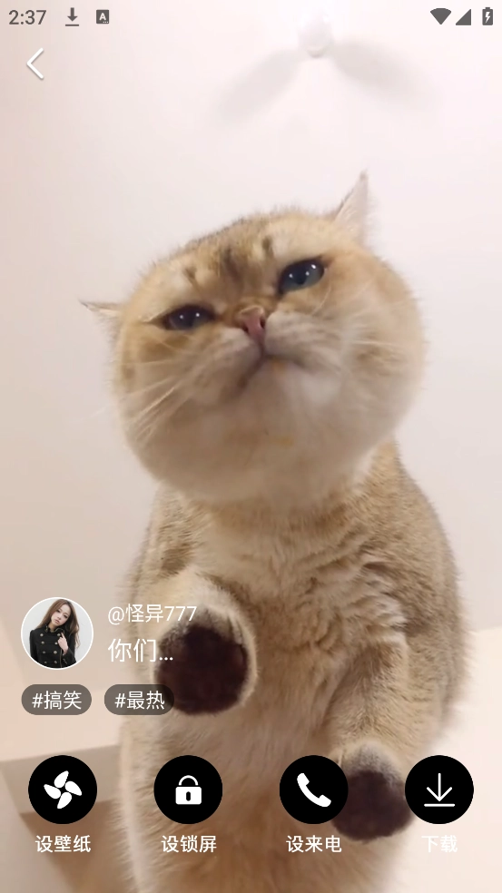 布丁壁纸大全手机版图3