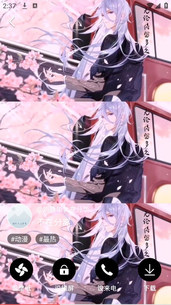 布丁壁纸大全手机版图1