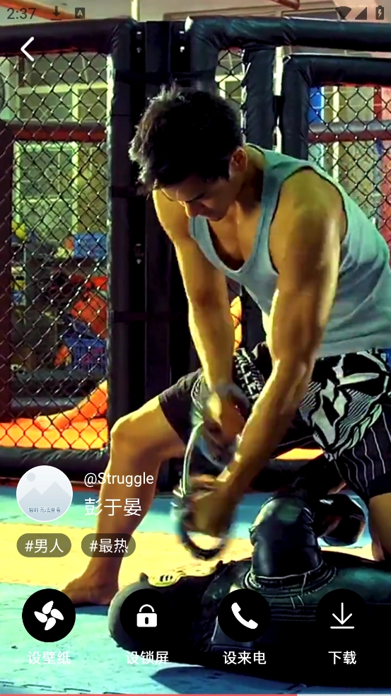 布丁壁纸大全手机版图2