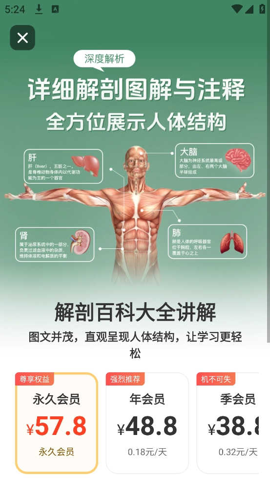 解剖模型Body软件