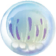 合成大水母游戏(jellyfish)