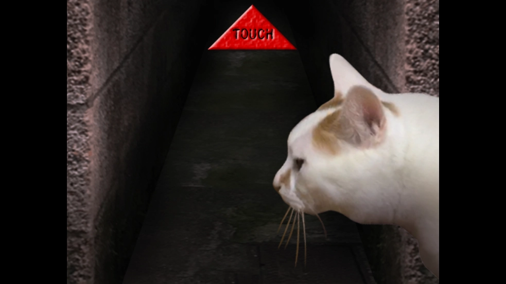 翌日猫之怪奇谭图3