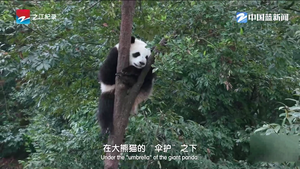 云电视pro电视版图3