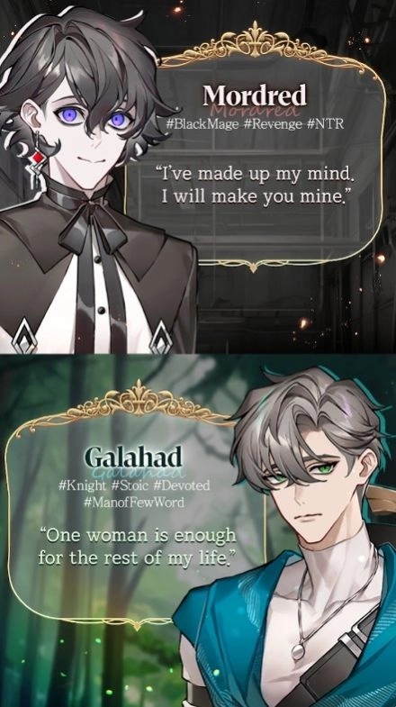 与骑士的秘密之吻游戏手机版1