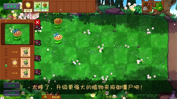 植物大战僵尸共生版