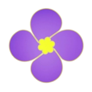 紫金草视频最新版