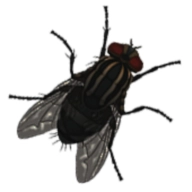 湖边之家恐怖任务游戏