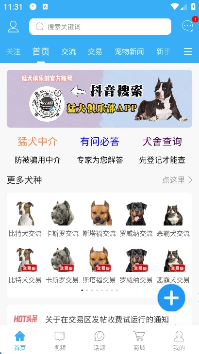 猛犬俱乐部明码交易区