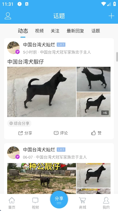 猛犬俱乐部明码交易区