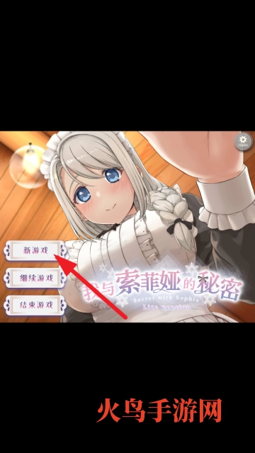 我与索菲亚的秘密汉化版