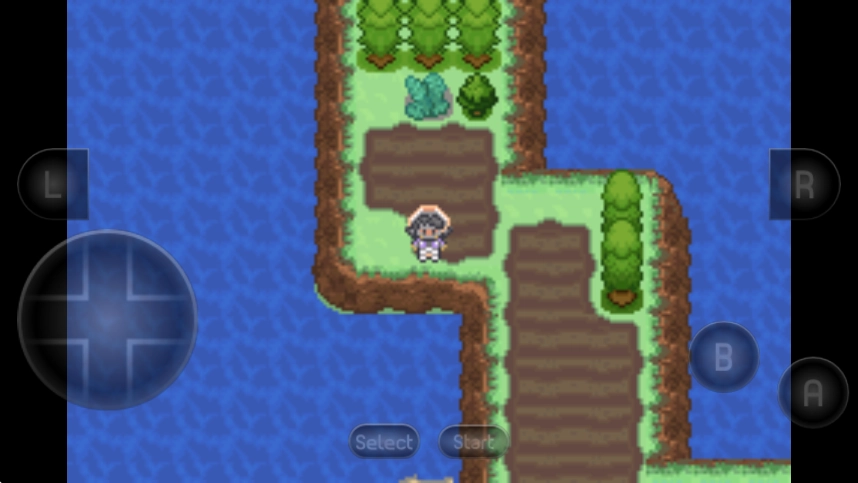 口袋妖怪生与死手机版