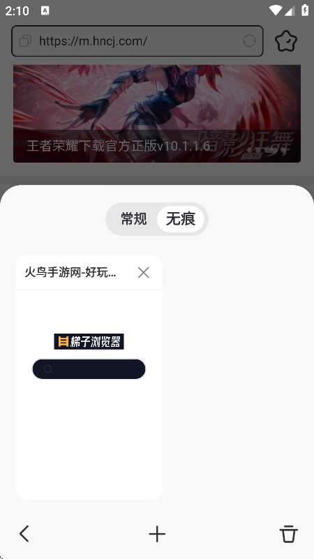 梯子浏览器手机版