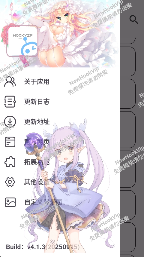 HookVip最新版图2