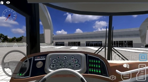 巴西巴士多人11