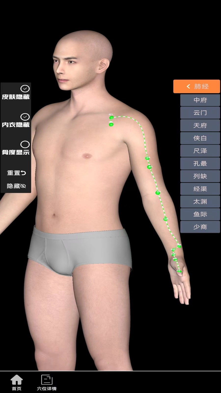 子午经络软件(子午流注)v1.2.4安卓版(2)