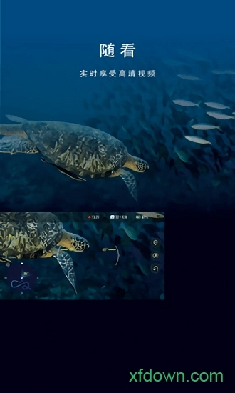 fifish水下机器人appv5.1.1安卓版图2