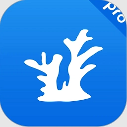 KelorayPro软件安卓版