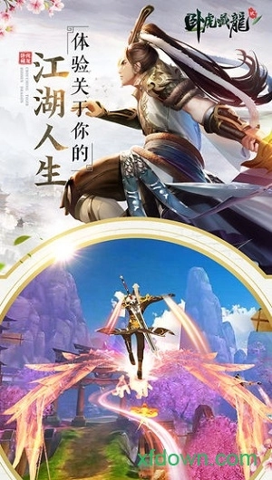 卧虎藏龙贰安卓版(2)