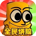 全民烧脑大师1