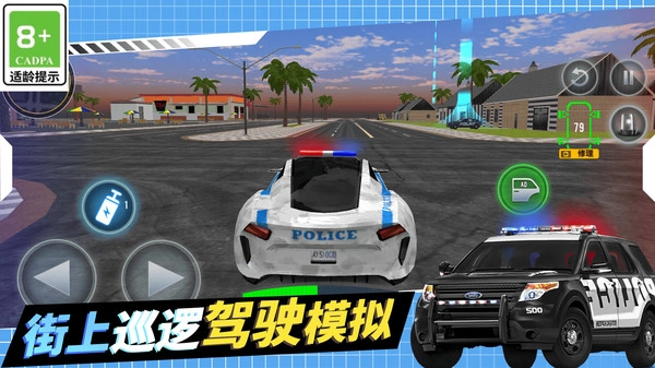 警察抓捕行动(1)