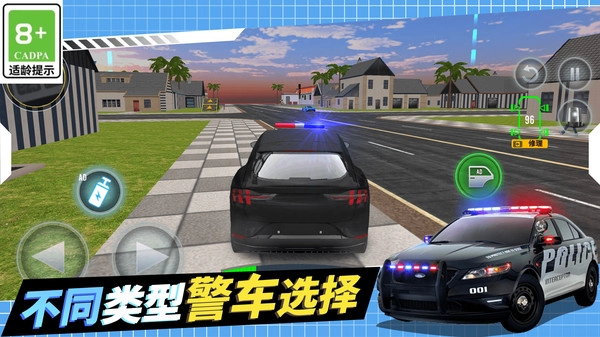 警察抓捕行动(4)