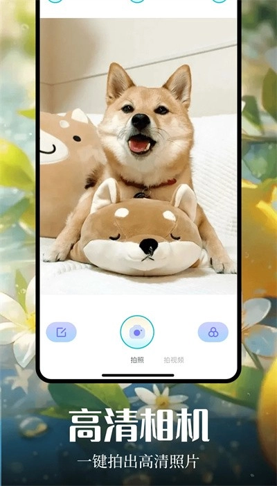 大头贴相机手机版