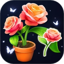 整理我最强 v1.0.0 安卓版