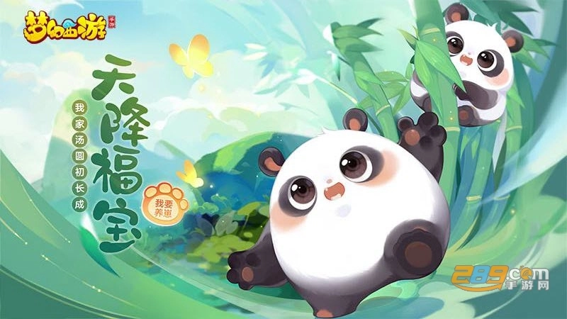 梦幻西游2026最新版图3