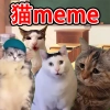 猫meme搞怪冒险游戏v2.0.0安卓版