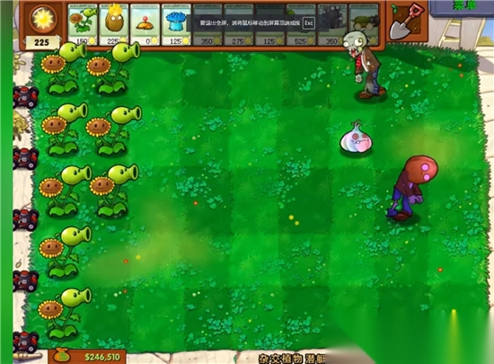 pvz杂交版图3