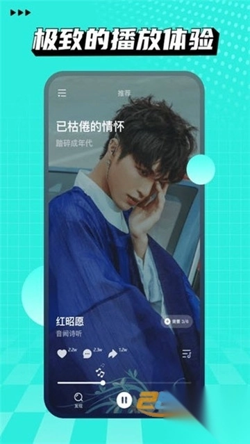 波点音乐官方免费版v4.9.8最新版图1